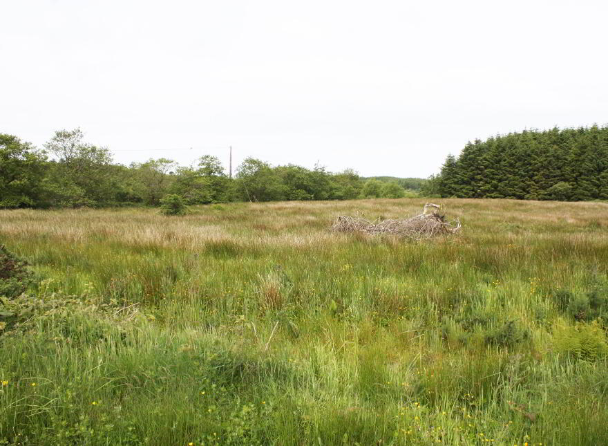 Meenagory, Buncrana