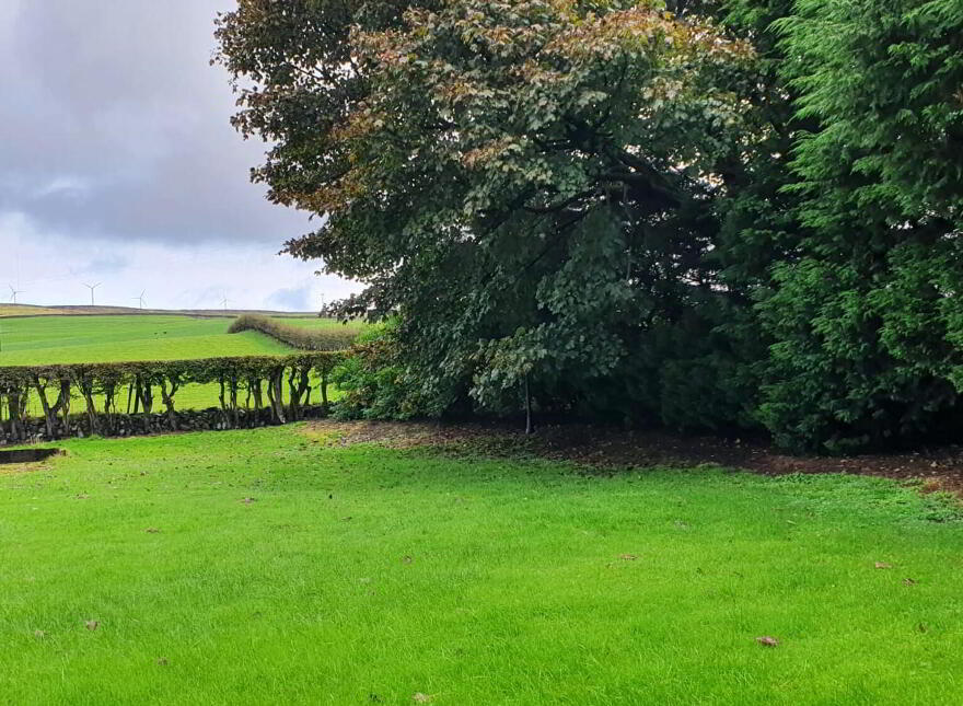 206 Corkey Road, Cloughmills, Ballymena, BT44 9JB