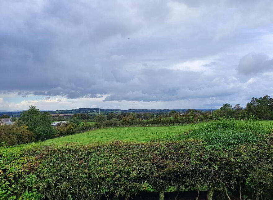 206 Corkey Road, Cloughmills, Ballymena, BT44 9JB