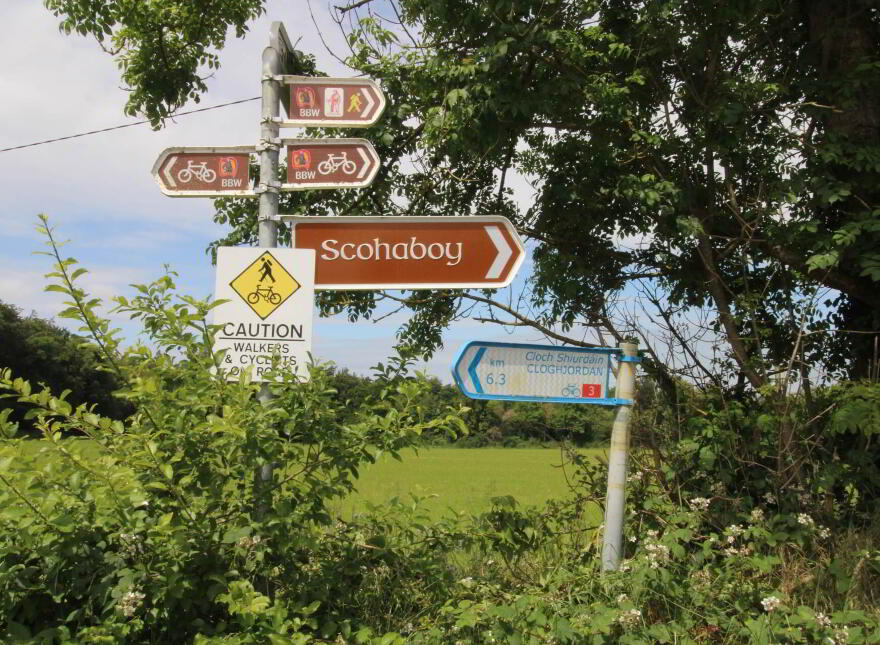 Behamore (@ Birr Junction), Cloughjordan, E53TX25