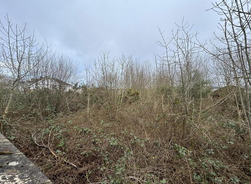 Semi-Detached , Dwellings And Land Totalling, 0 5acres 1, 3 & 5 Kirkwo...Lisburn, BT28 3SA