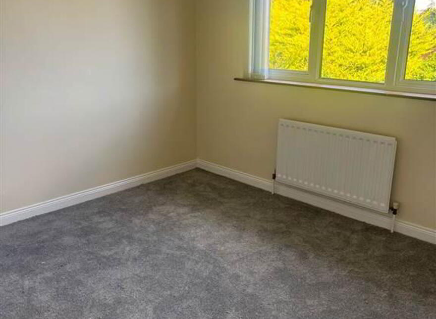 3 Orchard Crescent, Downpatrick, BT30 6NY