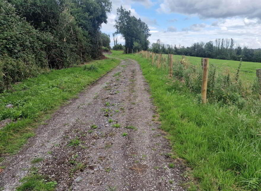 Building Site, With Fpp, Derrylea Road, Newtownbutler, BT92 8DG