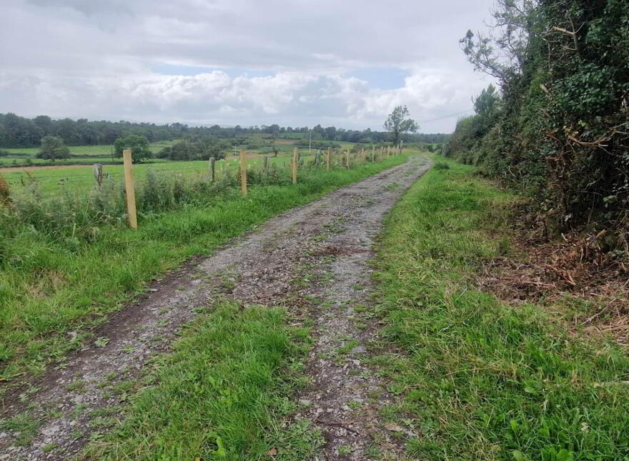 Building Site, With Fpp, Derrylea Road, Newtownbutler, BT92 8DG