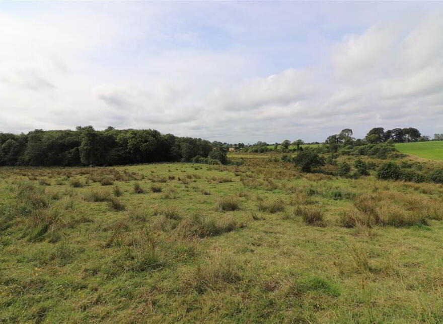 Lands, Belfast Road, Glenavy