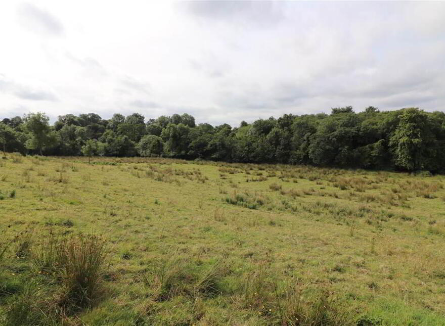 Lands, Belfast Road, Glenavy