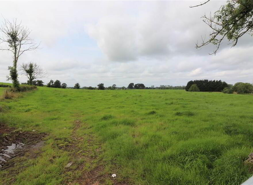 Lands, Belfast Road, Glenavy