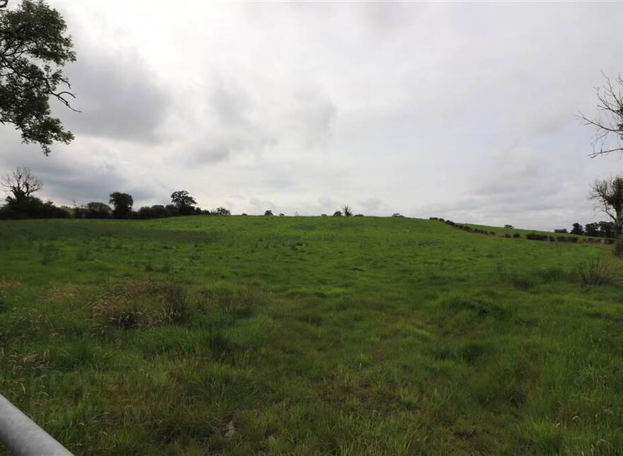 Lands, Belfast Road, Glenavy photo