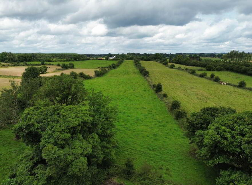 Ballinastocka, Tulrahan, Claremorris, F12Y157 photo