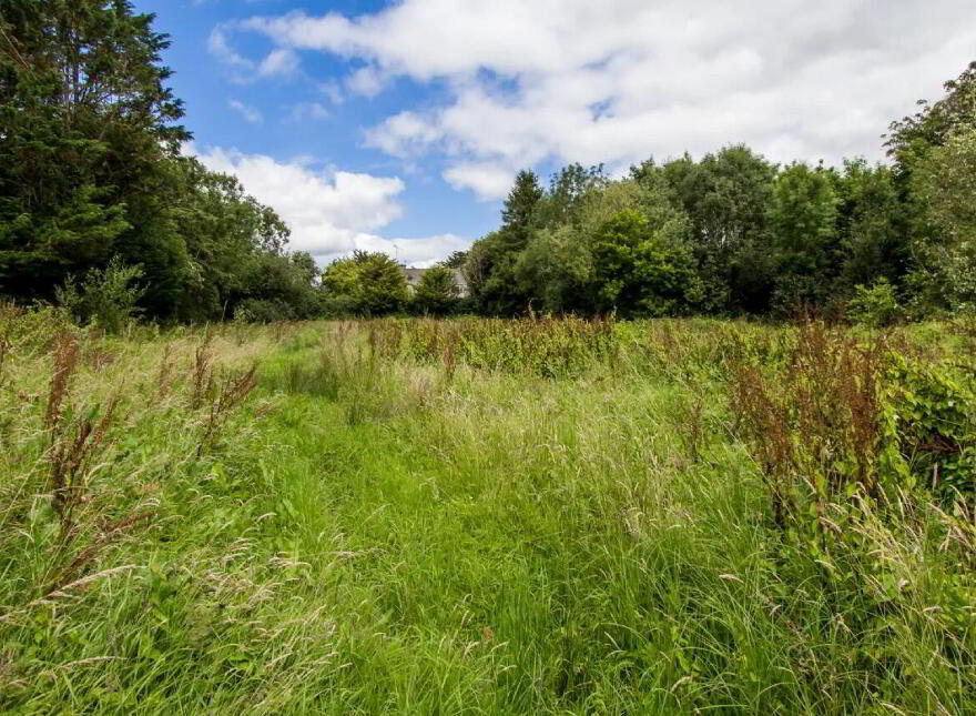 Church Street, Strokestown, F42T021