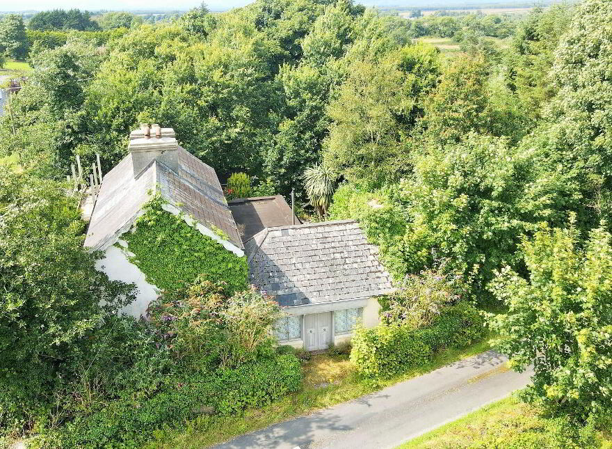 Barroe, Carracastle, Mayo, F45H521 photo