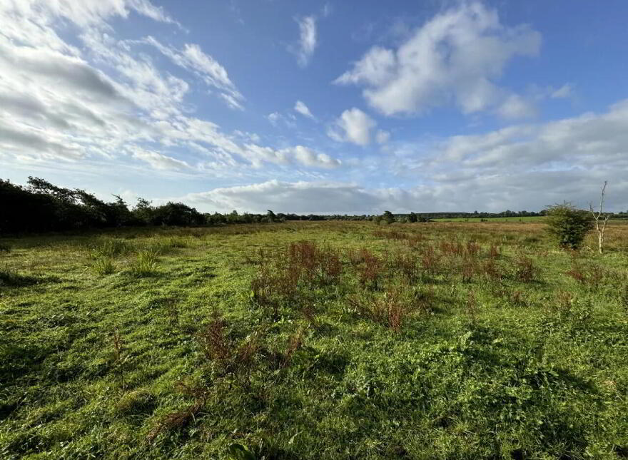 Scardaune, Claremorris