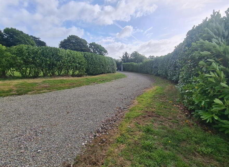 Ballyvorane North, Nohoval