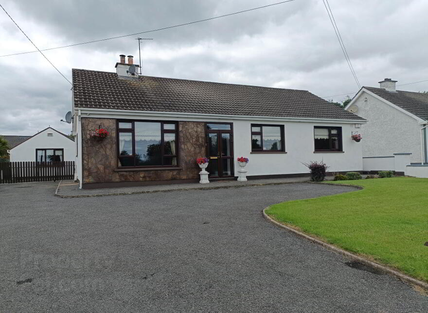 Derrycorus, Edenderry, Offaly, R45KN25 photo