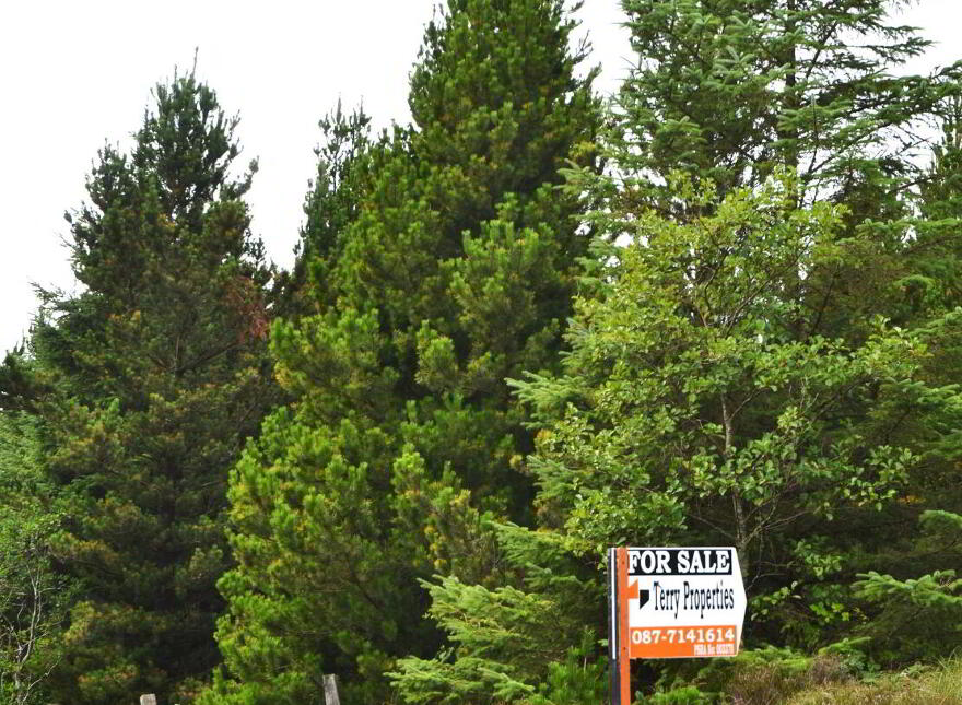Farm And Forestry For Sale Carnamaddy, Dunfanaghy photo