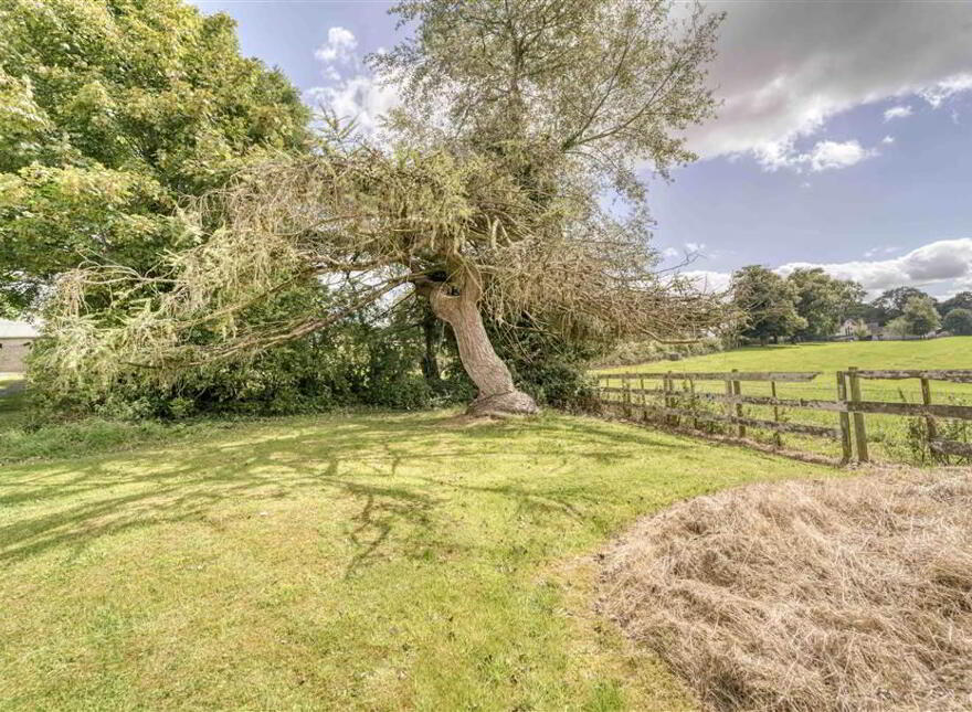 Larch Cottage, 16 Drumlin Road, Donaghcloney, BT66 7NJ
