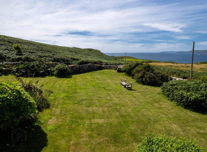 Toe Head, Castletownshend, P81T226