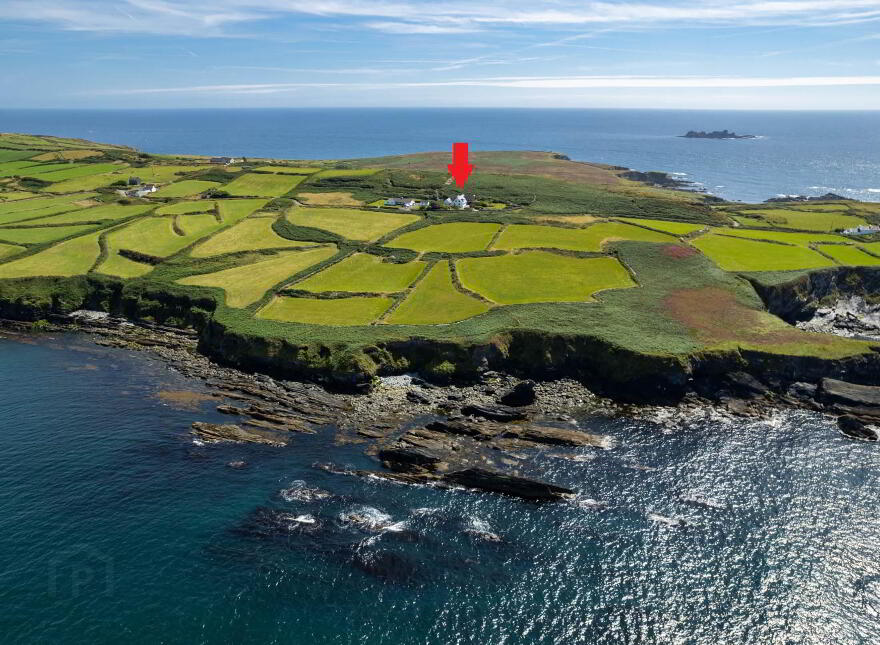 Toe Head, Castletownshend, P81T226