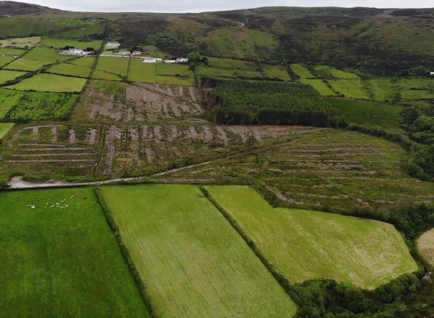 Ballymacarthur, Greencastle