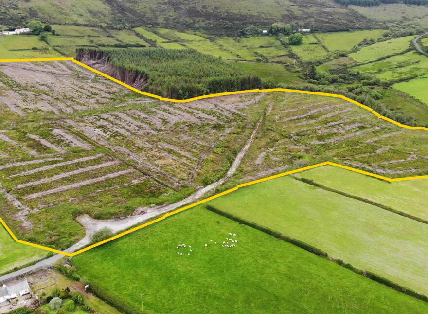 Ballymacarthur, Greencastle