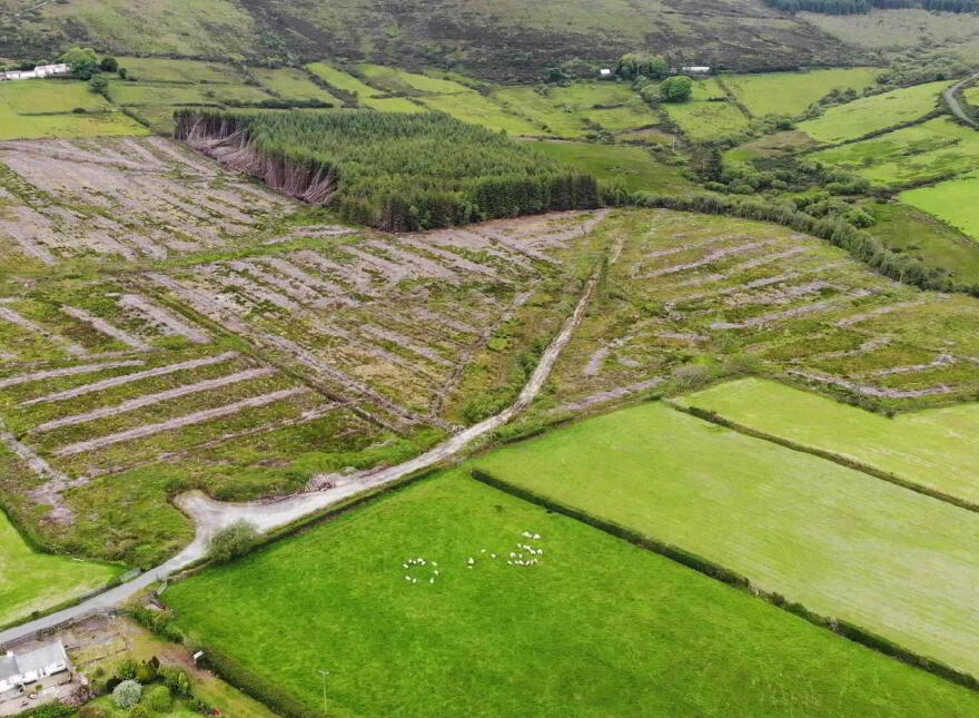 Ballymacarthur, Greencastle