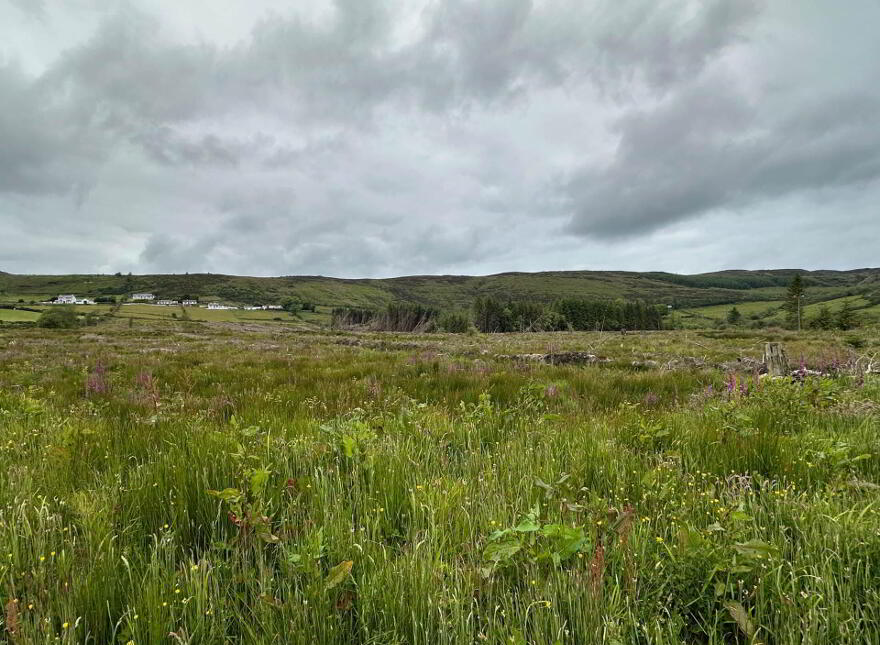 Ballymacarthur, Greencastle