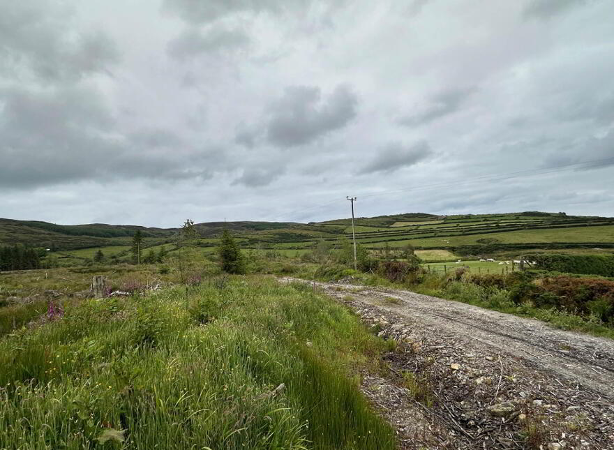 Ballymacarthur, Greencastle