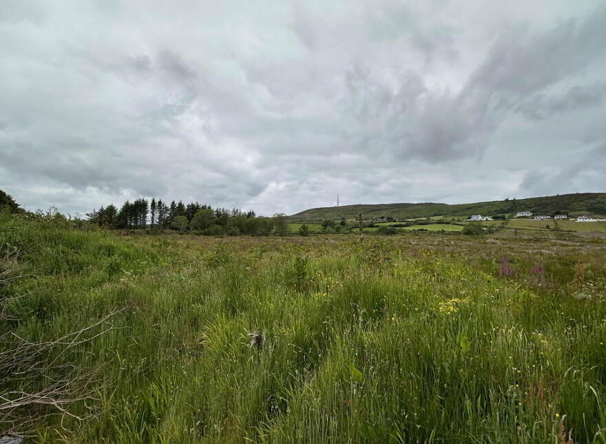 Ballymacarthur, Greencastle