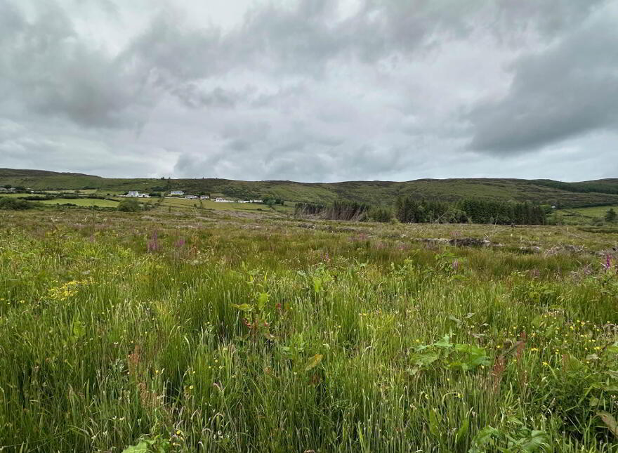 Ballymacarthur, Greencastle