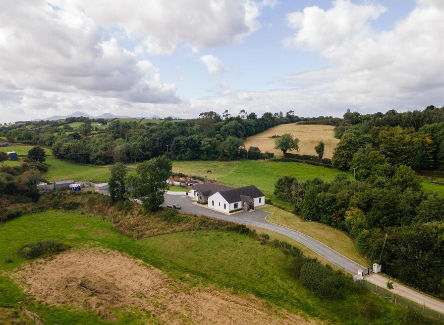 42b The Heights, Loughinisland, Downpatrick, BT30 8PX