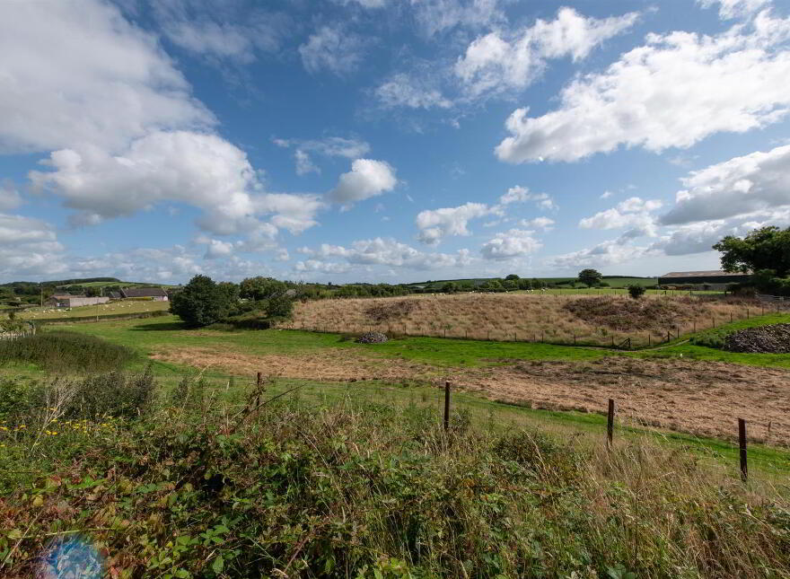 42b The Heights, Loughinisland, Downpatrick, BT30 8PX