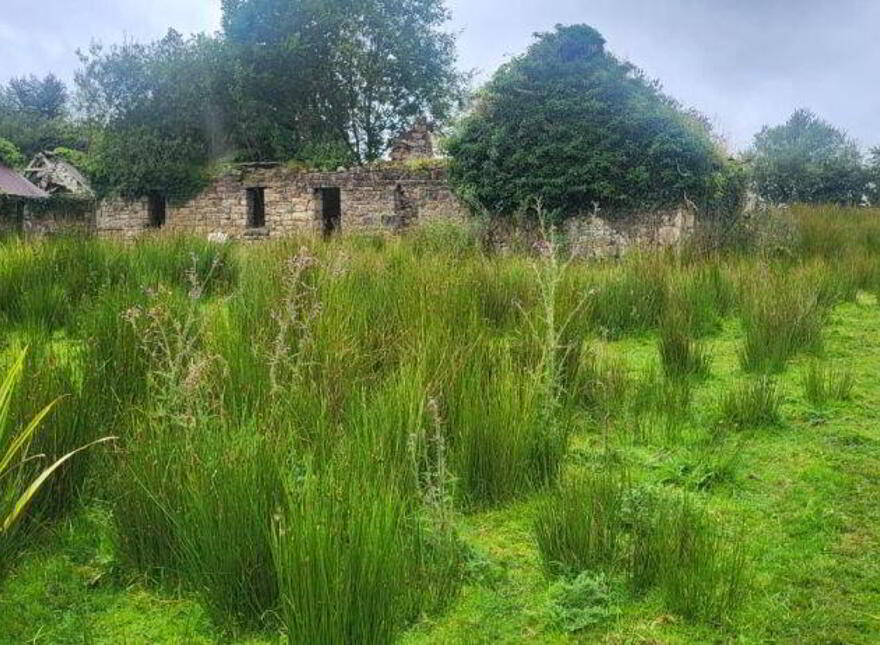 Annagh, Killargue