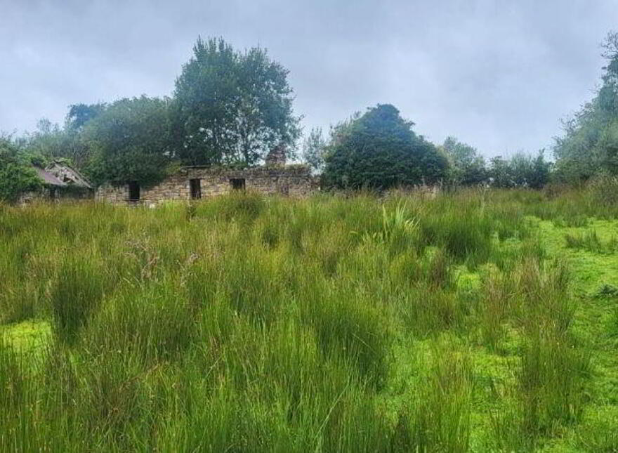Annagh, Killargue