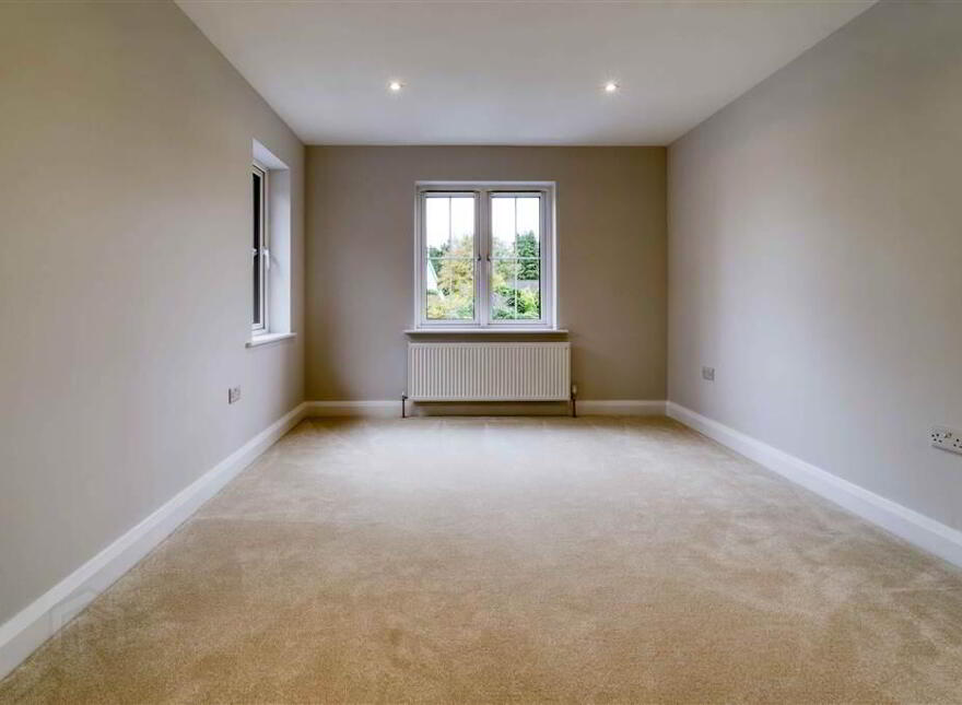 LAST ONE REMAINING, 2 Lagan Villas, Lisburn, BT27 5QY