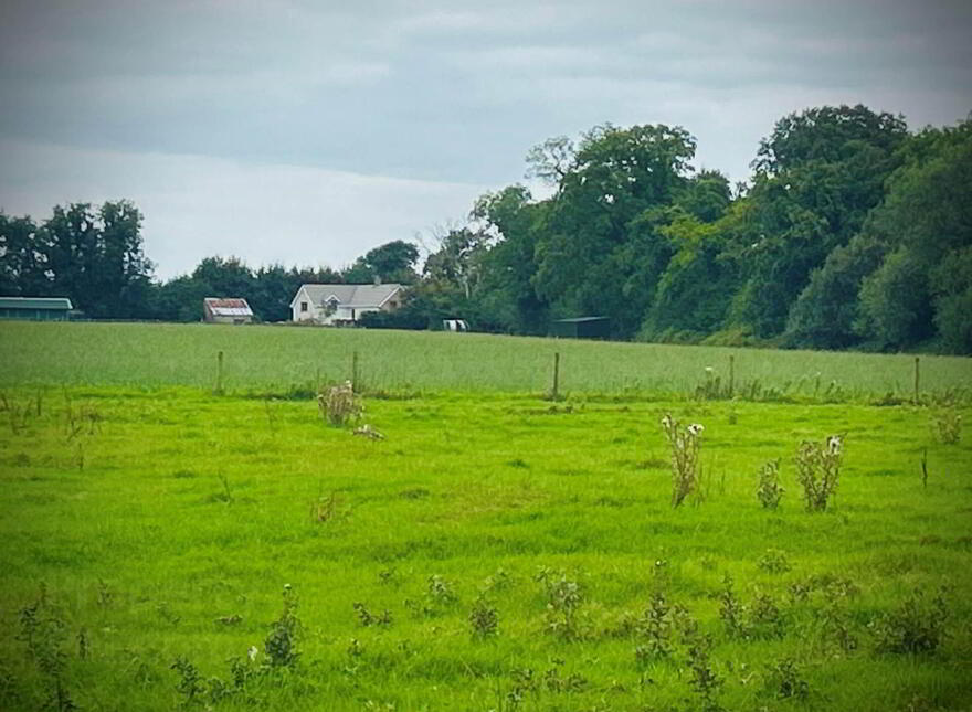 65.5 Acres, Plus Farmyard, Chevycgase, Bracknagh, Rathangan, Kildare, R51P230 photo