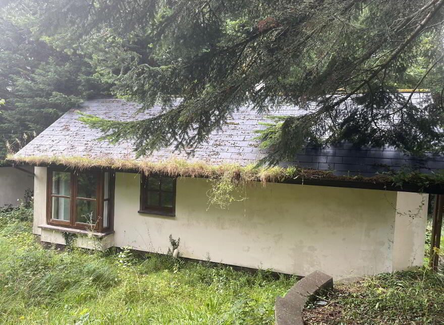 The Lodge, Dromahair, F91DC03