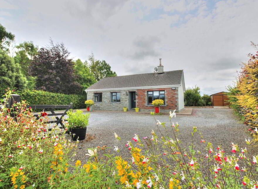 Killeen, Borrisokane, Nenagh, E45HY36 photo