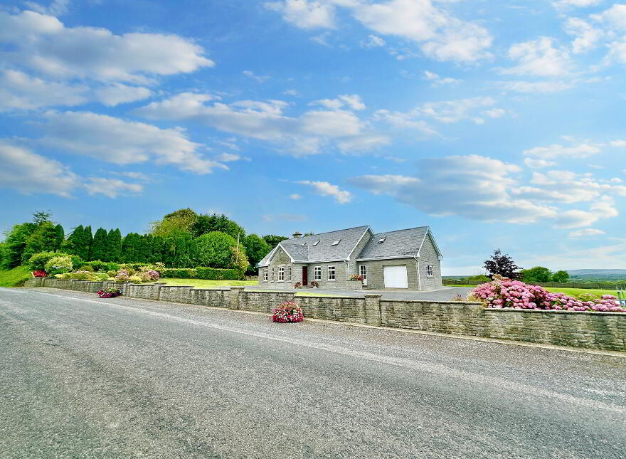 Ballinakill East, Newtownshandrum, P56AP08 photo