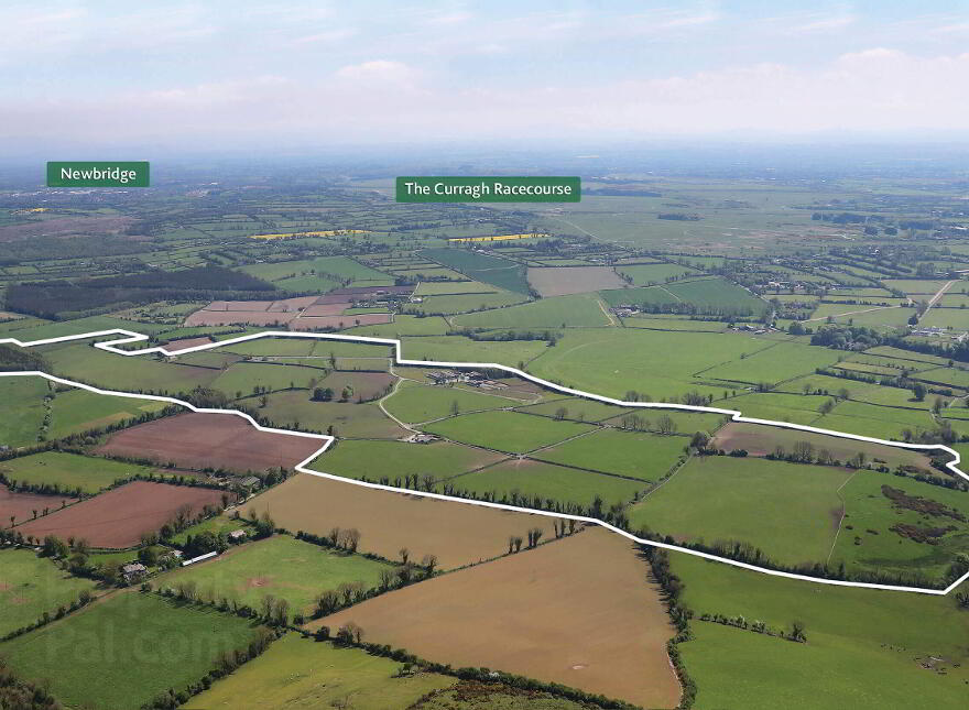 Rathbride Farm, The Curragh photo