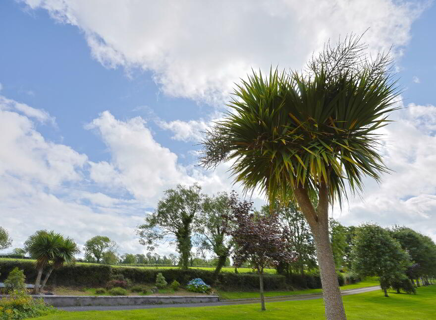 11 Tamnaghmore Road, Tandragee, Craigavon, BT62 2LS