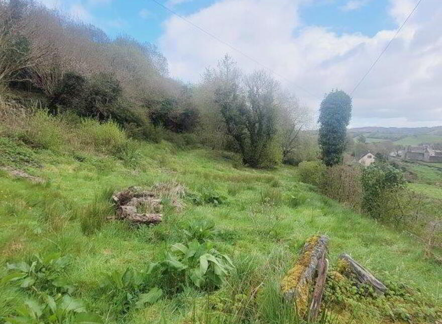 Cartron, Kilmore, Dromahair