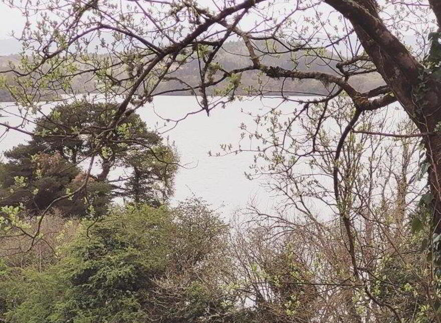Cartron, Kilmore, Dromahair