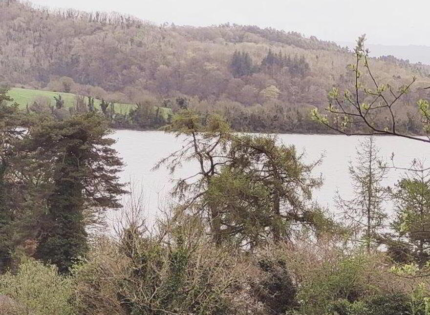 Cartron, Kilmore, Dromahair