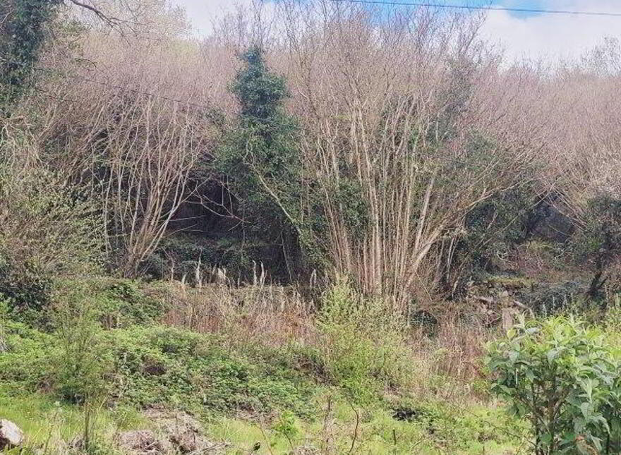 Cartron, Kilmore, Dromahair