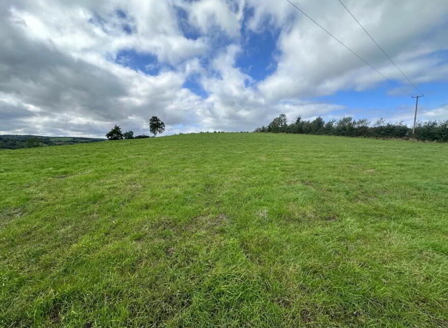 Agricultural Lands, Dernacoo, Emyvale photo
