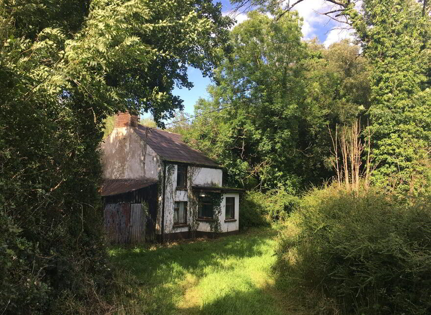 Shanmullagh North, Scotstown photo