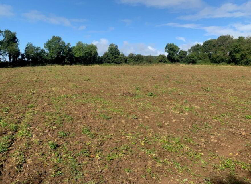 Ballycapplewood, Bantis, Cloughjordan, Nenagh photo