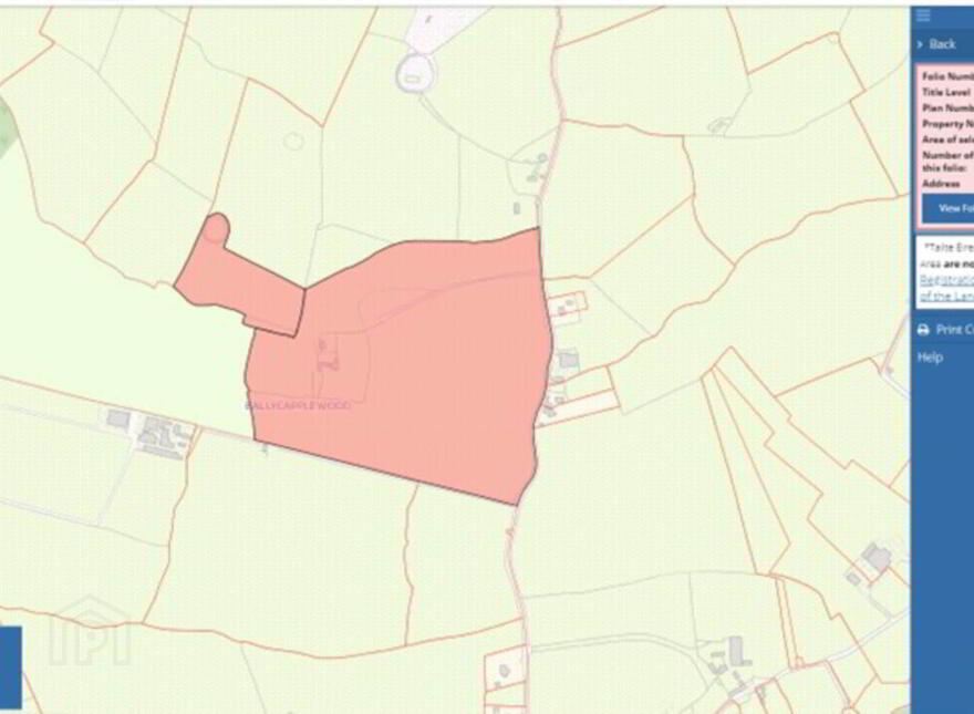 Ballycapplewood, Bantis, Cloughjordan, Nenagh photo