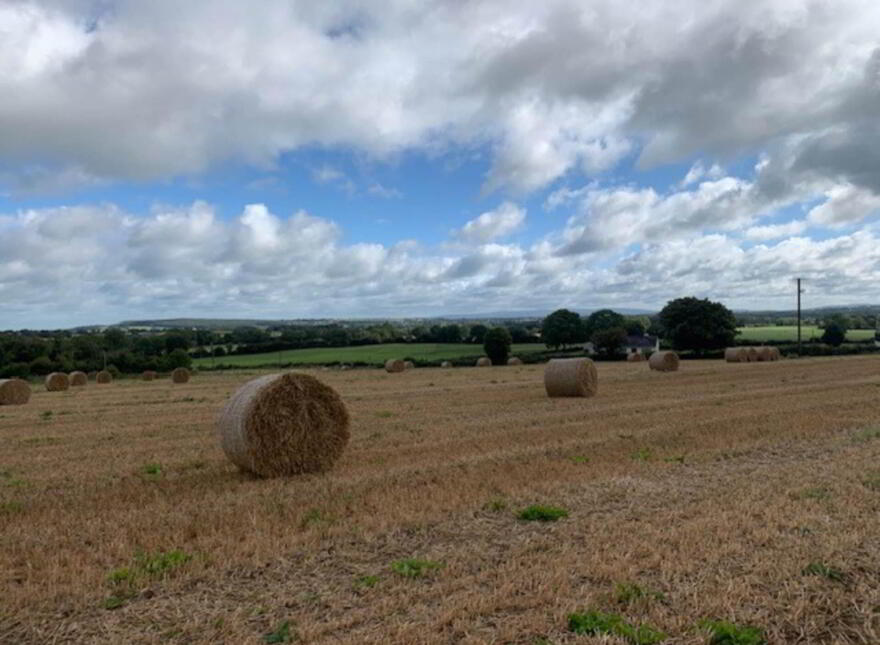 Ballycapplewood, Bantis, Cloughjordan, Nenagh