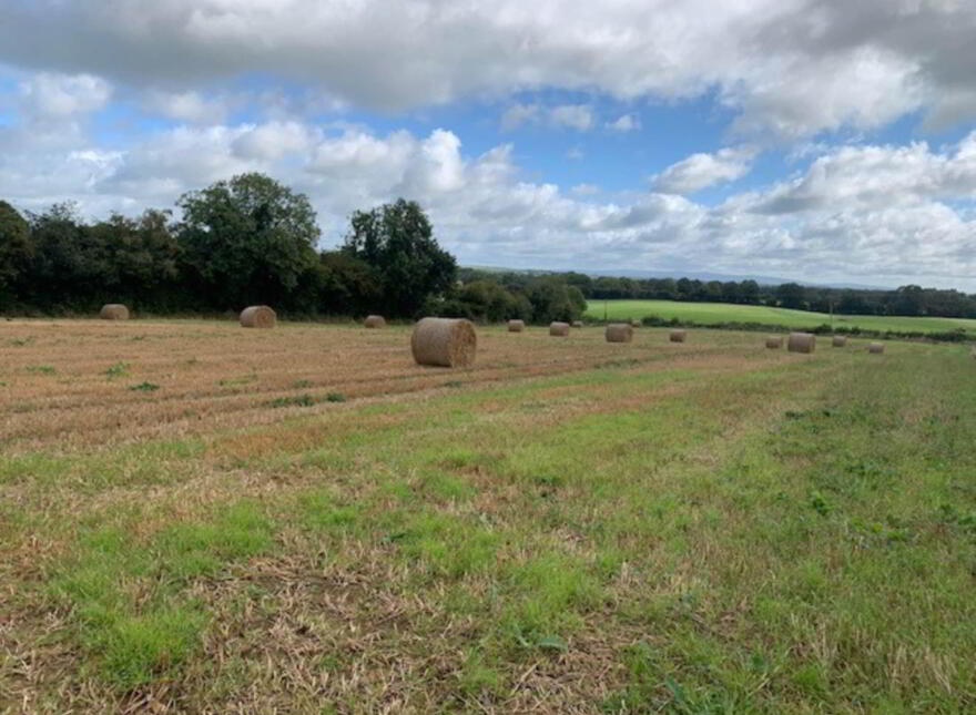 Ballycapplewood, Bantis, Cloughjordan, Nenagh
